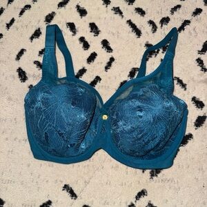 Luxurious Teal Lace Bra